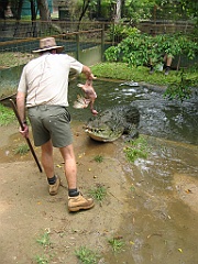 130 Cairns Tropical Zoo